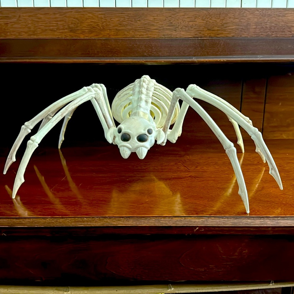 LUC spider skeleton off white Halloween